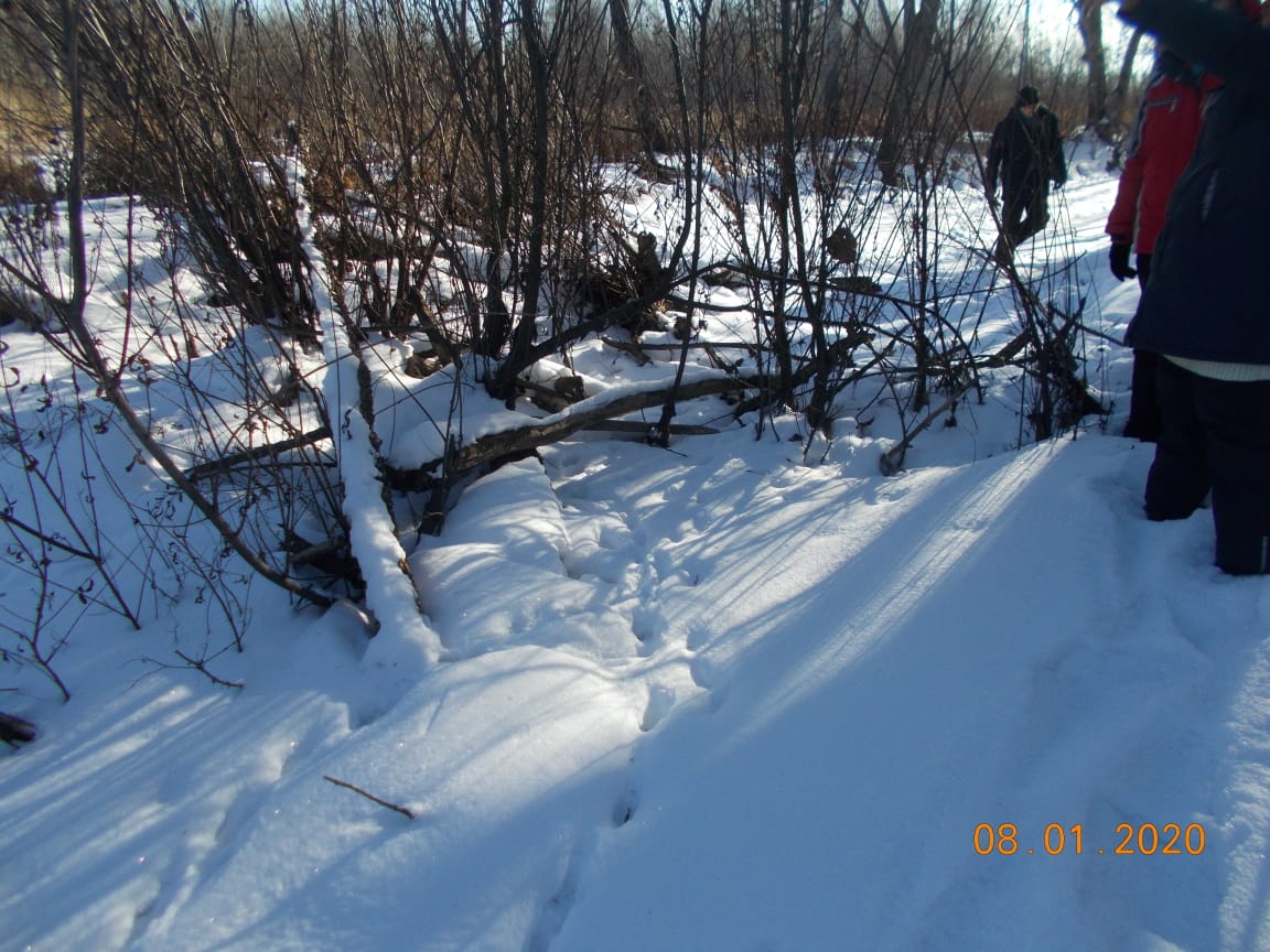 pic7
