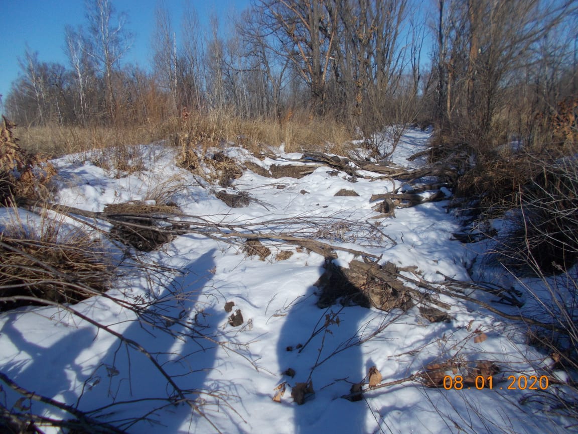 pic7